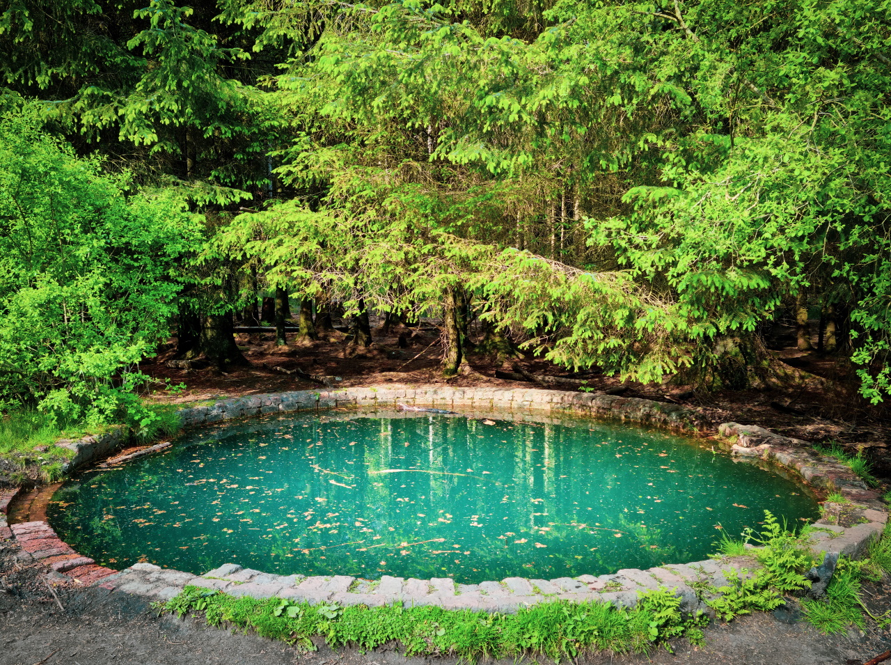 Oczka wodne i małe stawy: jak stworzyć oazę spokoju w ogrodzie?